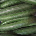 Landwirtschaftliche Erzeugerpreise deutlich gesunken