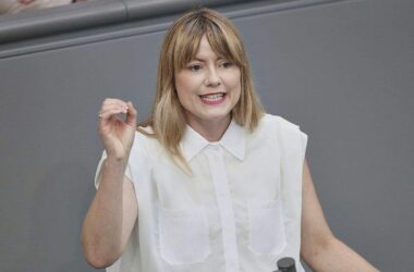 Linke fürchtet Ende der Informationsfreiheit