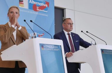 Forsa: AfD erreicht neuen Höchststand