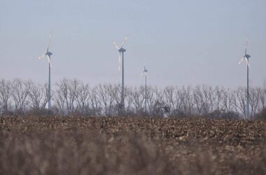 SPD in Sachsen-Anhalt kritisiert Fehler bei Energiewende