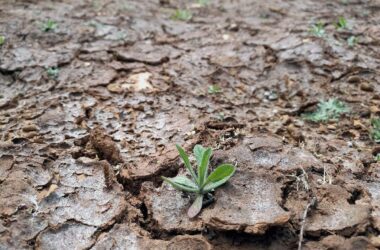 Erdüberlastungstag: Ressourcen für 2026 bereits aufgebraucht