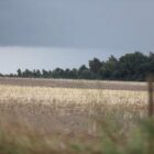 Wetterdienst warnt vor schweren Gewittern im Osten und Süden