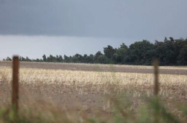 Wetterdienst warnt vor schweren Gewittern im Osten und Süden