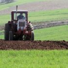 Sojabohnen-Anbaufläche in Deutschland seit 2016 mehr als verdoppelt