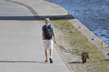 DWD: Südwesten erlebt im Juli extreme Hitze und Trockenheit
