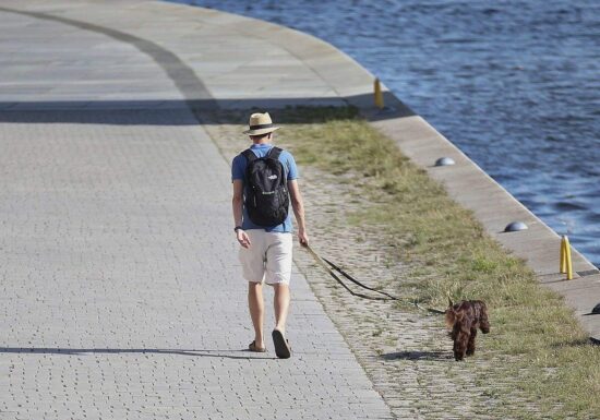 DWD: Südwesten erlebt im Juli extreme Hitze und Trockenheit