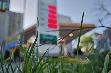 SPD-Generalsekretär fordert Spritpreisdeckel