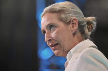 Weidel kritisiert Familienbild in Sachsen-Anhalter AfD-Wahlprogramm