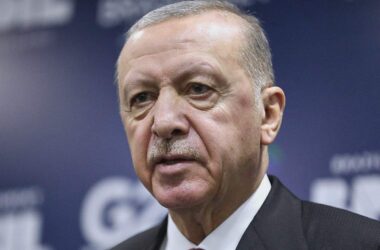 Linke wirft Bundesregierung "Doppelmoral" im Umgang mit Erdogan vor