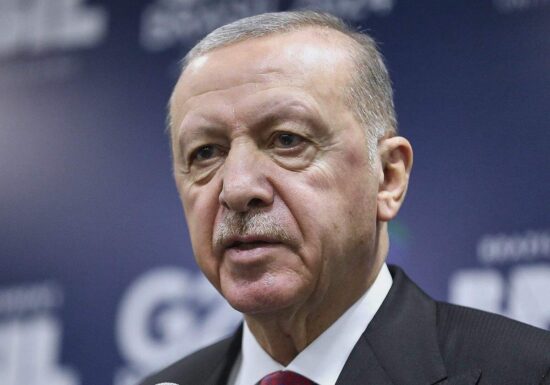Linke wirft Bundesregierung "Doppelmoral" im Umgang mit Erdogan vor
