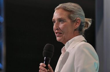 Politbarometer: AfD legt zu - Grüne und Linke verlieren