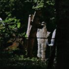 Polizei sucht nach CSD-Todesfahrt Verdächtigen aus islamistischem Milieu