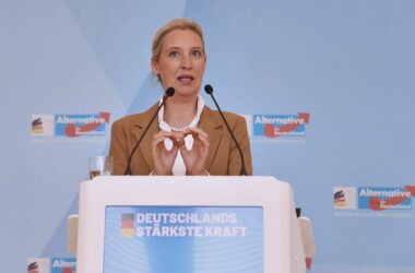 AfD will Fünf-Prozent-Hürde ersatzlos streichen