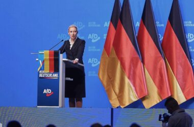 Politologe: Weidels Macht in der AfD ist begrenzt