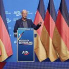 AfD wählt drei neue Parteivize - bestes Ergebnis für Möller