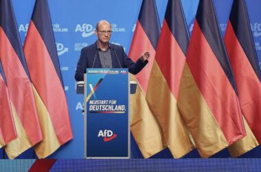 AfD wählt drei neue Parteivize - bestes Ergebnis für Möller