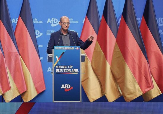 AfD wählt drei neue Parteivize - bestes Ergebnis für Möller