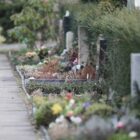 Friedhofsgärtner fordern Ausnahmen von Gießverboten