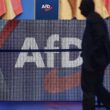 Historikerin warnt Unternehmen vor Nähe zur AfD
