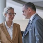 Forsa: AfD bleibt auf Rekordhoch