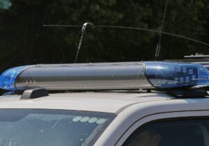 Männlicher Torso in Wald bei Flensburg gefunden