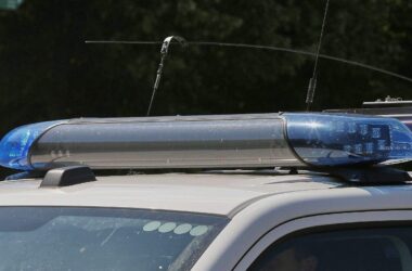 Männlicher Torso in Wald bei Flensburg gefunden