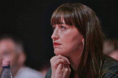 Klima: Linke hält Grundgesetzänderung mit Union für "utopisch"