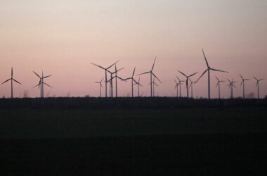BUND: Erneuerbare Energien glätten Strompreisspitzen