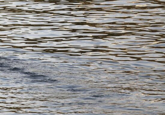 BUND kritisiert Umgang mit Niedrigwasser scharf