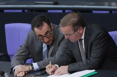 Özdemir und Pistorius fordern AfD-Verbotsantrag