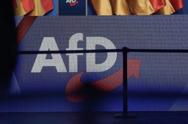 Migrationsforscher wirft AfD Doppelstrategie vor