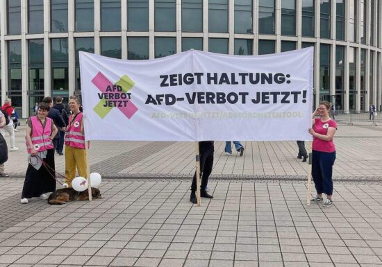 Grüne drängen auf Verbotsverfahren gegen gesamte AfD