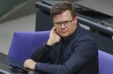 Umweltminister warnt vor Angstdebatte über AfD