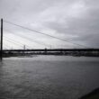 Niedrigwasser: Binnenschiffer warnen vor Zweiteilung des Rheins
