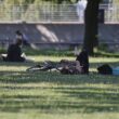 Umweltverbände fordern Klima-Aktionsplan von der Regierung