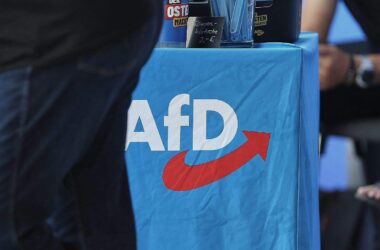 Israels Ex-Botschafter Stein: Brandmauer zur AfD ist gescheitert