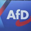 Umfrage: Jeder Fünfte würde bei AfD-Regierung auswandern