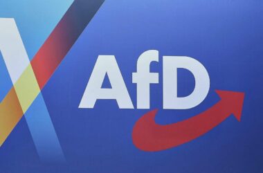 Umfrage: Jeder Fünfte würde bei AfD-Regierung auswandern