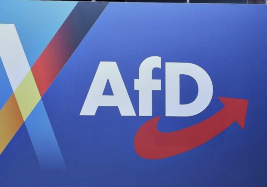 Umfrage: Jeder Fünfte würde bei AfD-Regierung auswandern
