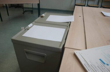 Nouripour will Wahltermine bündeln