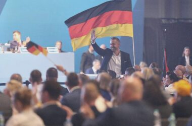 Verdi warnt vor AfD-Landesregierung in Sachsen-Anhalt