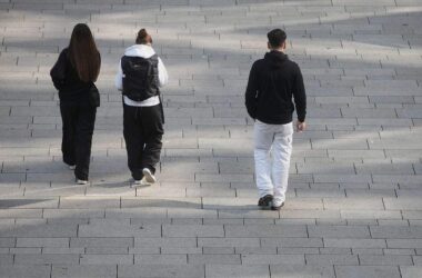 Linke kritisiert Vorbereitungen für neuen Zivildienst