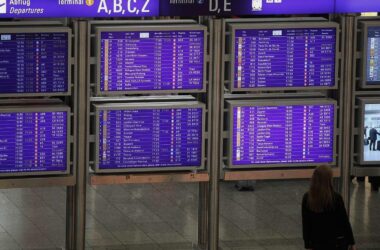 Zwei Tote durch Malaria am Frankfurter Flughafen