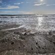 Studie: Klimawandel verursacht extreme Meerestemperaturen in Europa