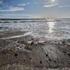Studie: Klimawandel verursacht extreme Meerestemperaturen in Europa