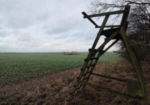 Jagdverband fordert mehr Einsatz gegen illegale Waffen