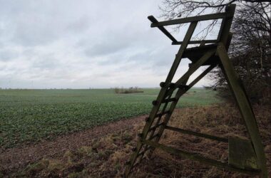 Jagdverband fordert mehr Einsatz gegen illegale Waffen