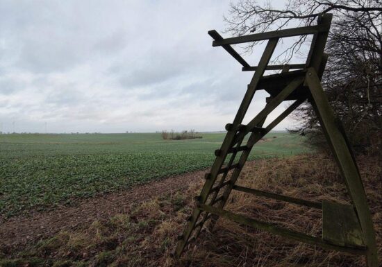 Jagdverband fordert mehr Einsatz gegen illegale Waffen