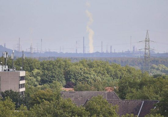 Kommunen fordern mehr Tempo im Kampf gegen Sozialmissbrauch