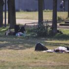 Sommer 2026 einer der wärmsten seit Aufzeichnungsbeginn
